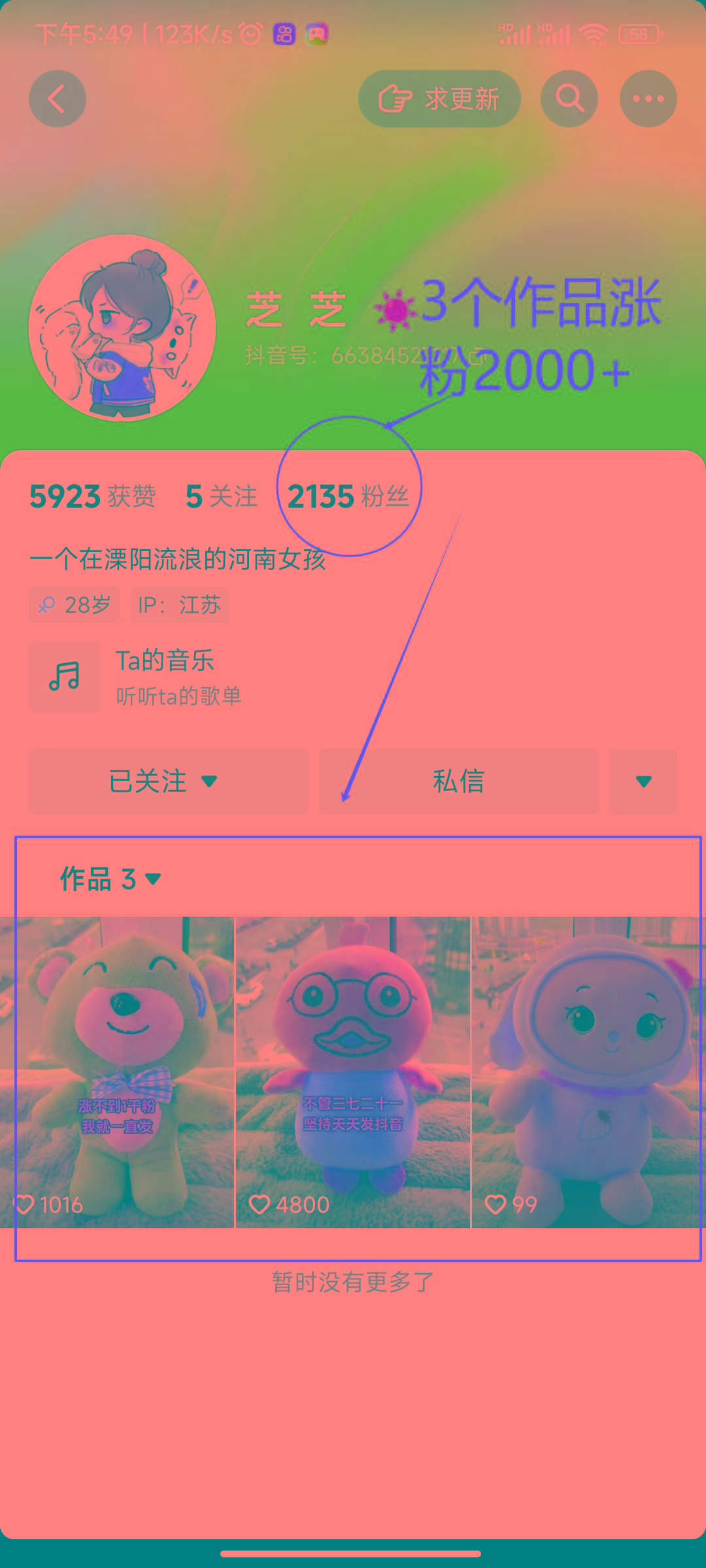 中创网