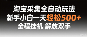 淘宝采集全自动玩法，新手小白一天轻松500+，全程挂机解放双手