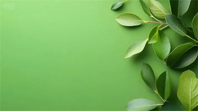 男性支原体感染吃什么食疗