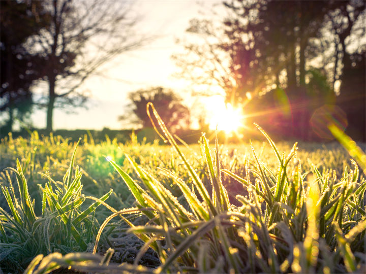 郎朗上口的思乡古诗词43条