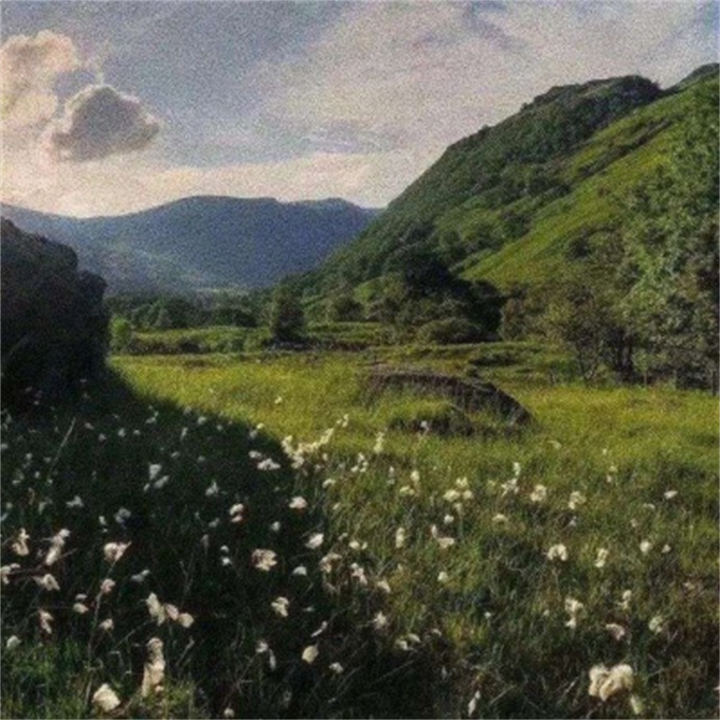 一个女孩从迷茫到拥有幸福的历程（一个女孩从迷茫到拥有幸福的历程）