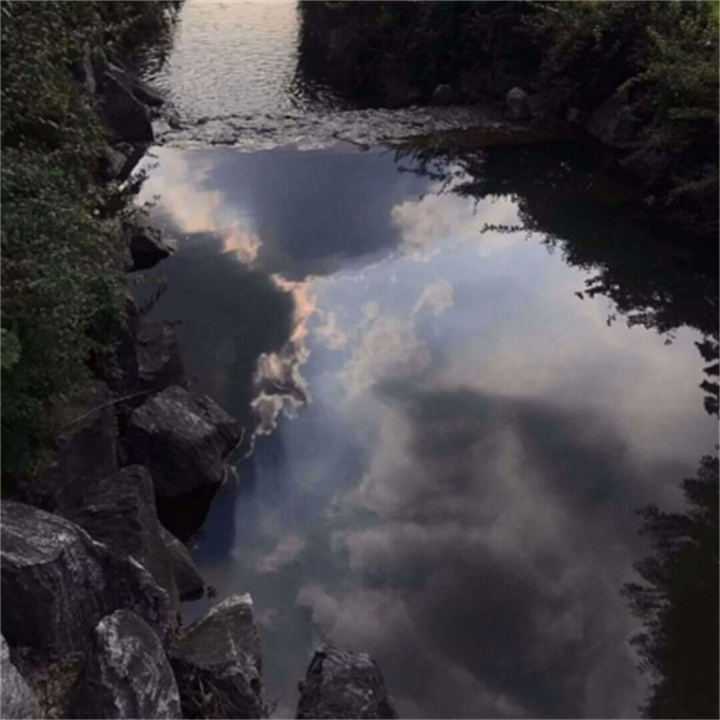 感恩母亲她给予我无尽的力量(一位坚强的母亲在成长路上的陪伴与支持)