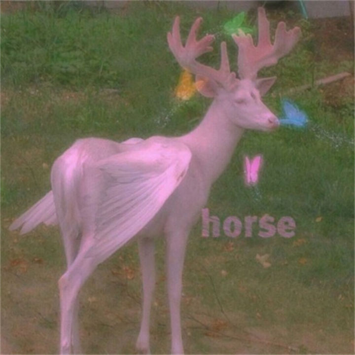 生命的守护者（痛并快乐着的职业）