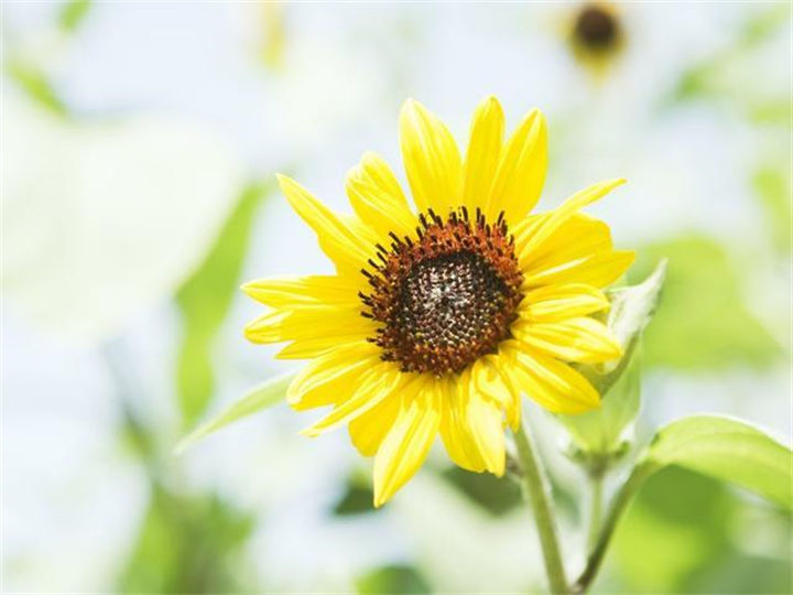 2026 有多少爱，转身成天涯