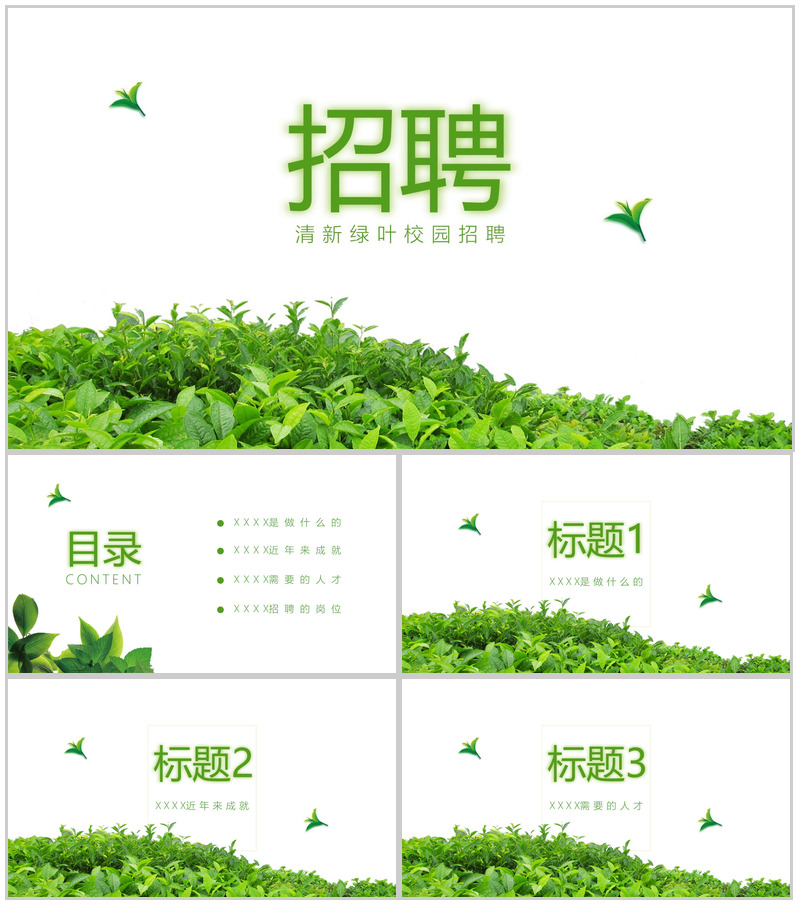清新绿叶简约文艺校园招聘会PPT模板