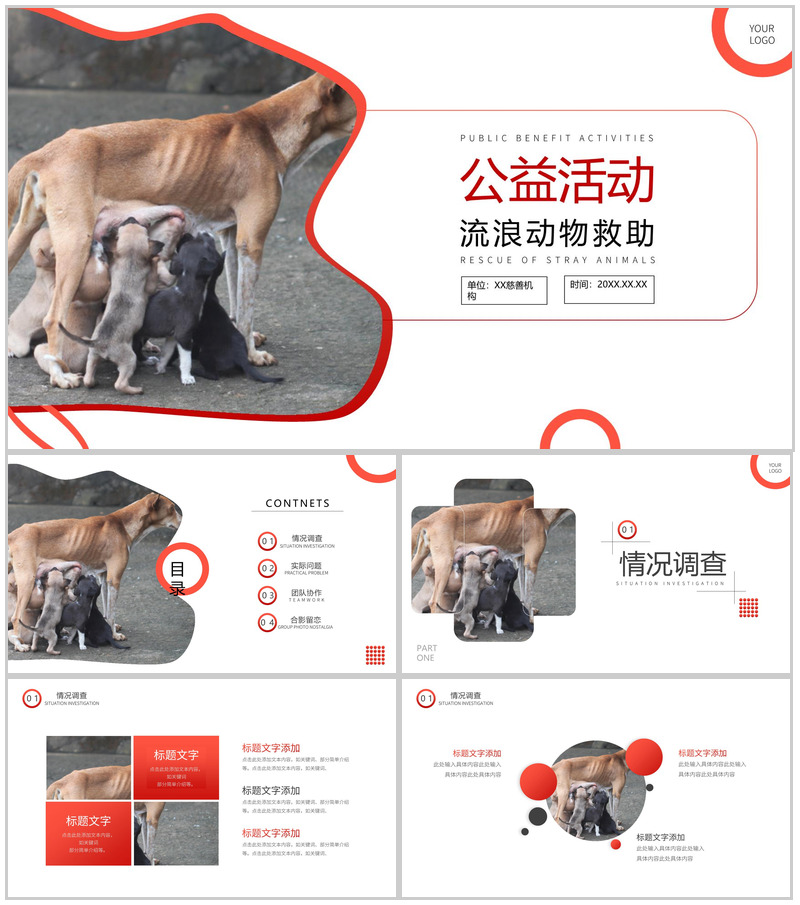 橙色爱心活动救助流浪动物公益活动策划方案步骤PPT模板