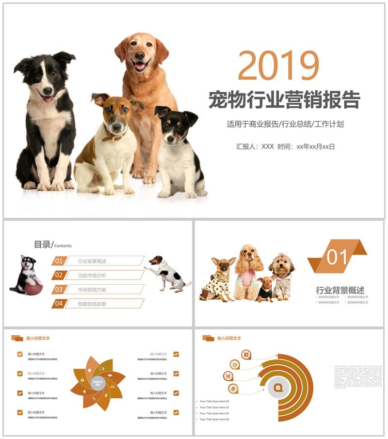 宠物行业营销报告工作计划PPT模板