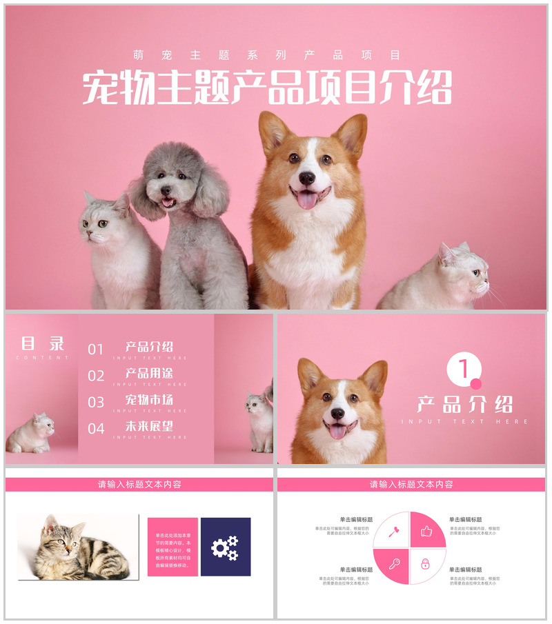 创意萌宠主题系列优势产品项目介绍PPT模板