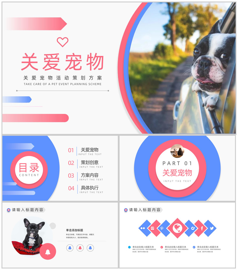 关爱宠物活动策划方案PPT模板