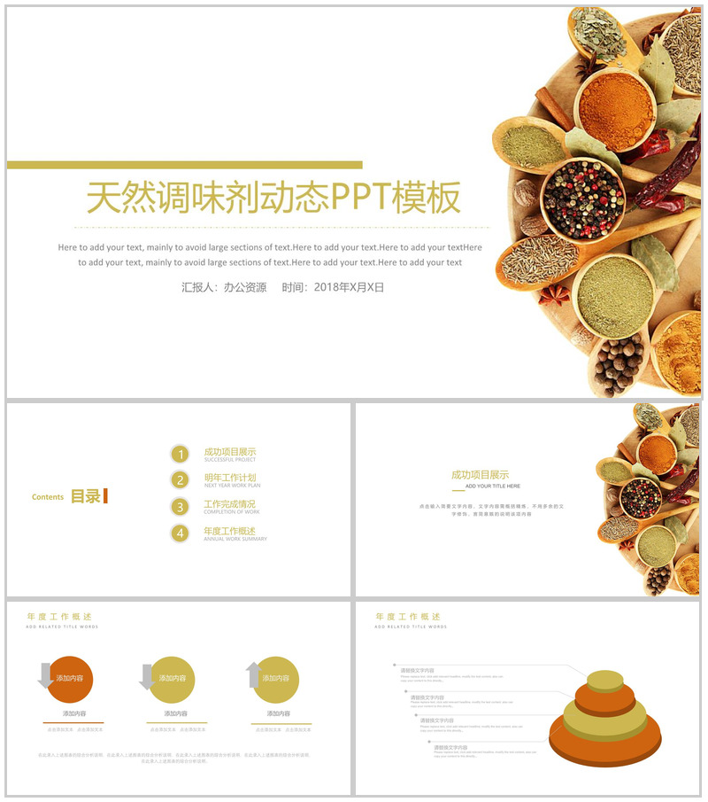 简洁简约食品调味剂宣传策划汇报新年计划PPT模板