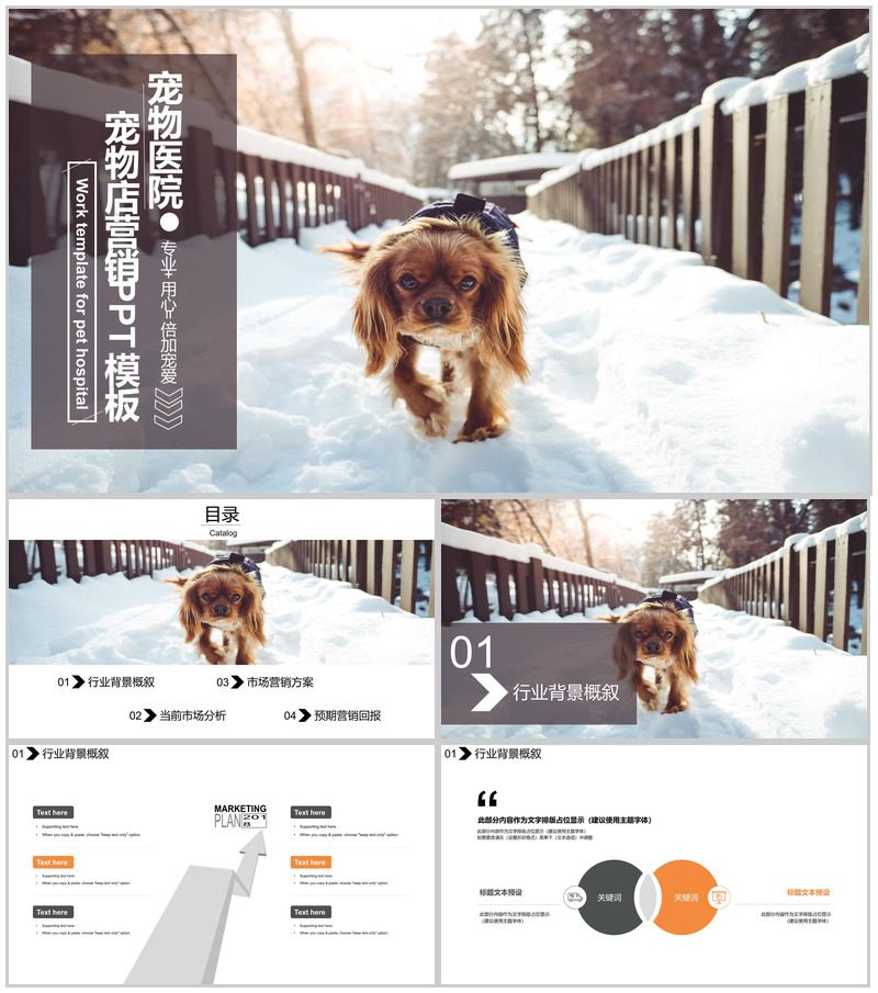 精致宠物店营销品牌推广PPT模板