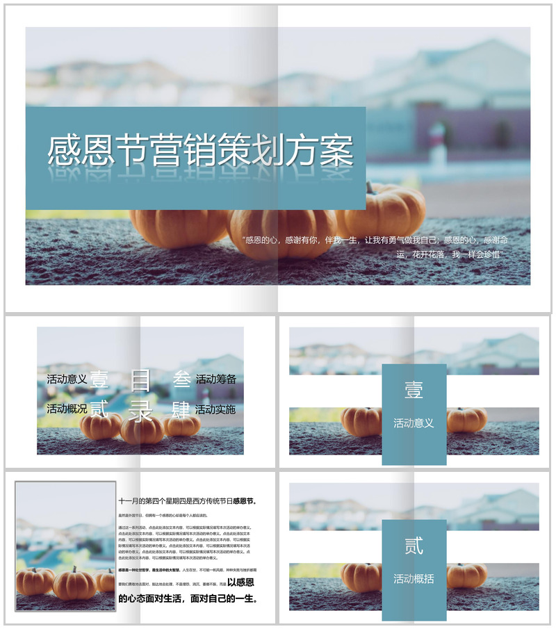 清新简约感恩节营销活动策划方案汇报PPT模板