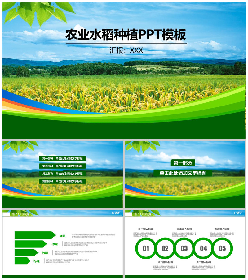 简约商务风农业水稻种植PPT模板