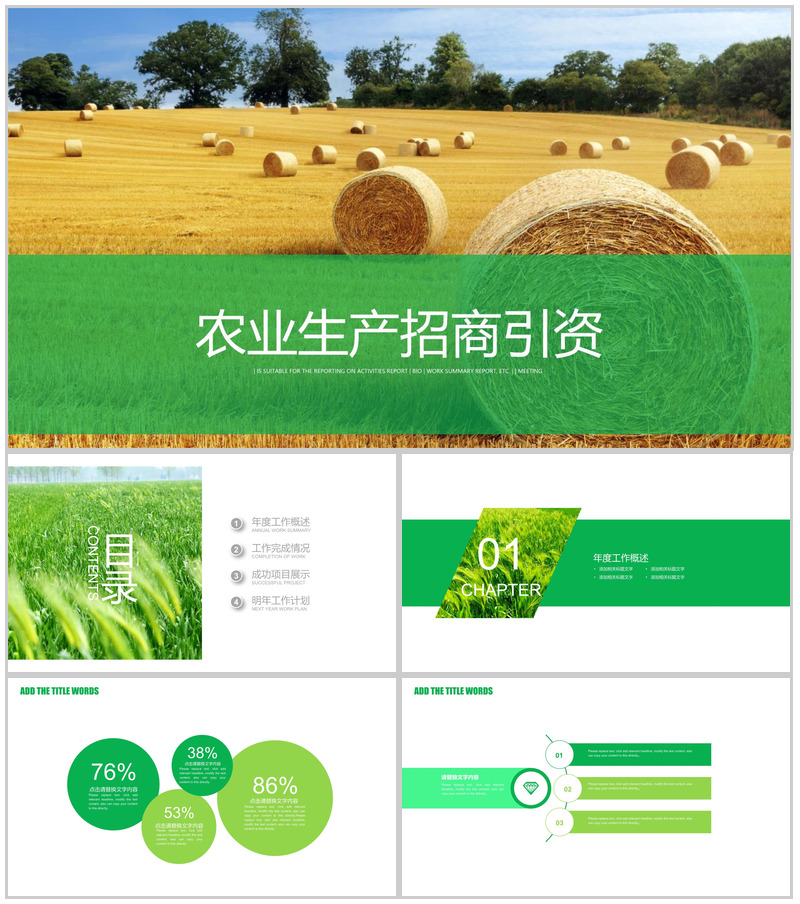 农业生产招商引资农产品宣传PPT模板