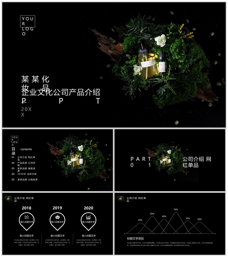 XX企业文化公司产品介绍PPT模板