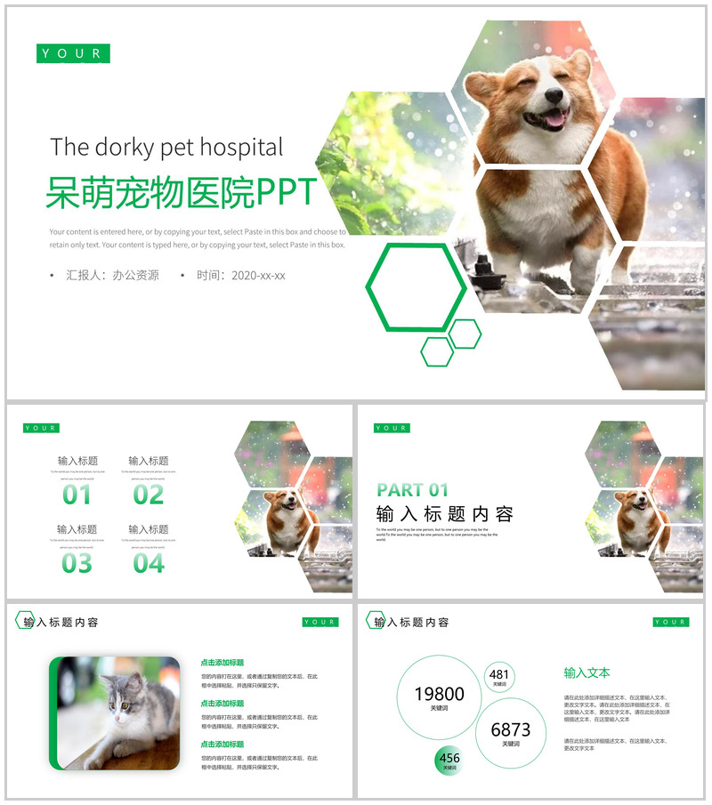 可爱呆萌宠物医院介绍PPT模板
