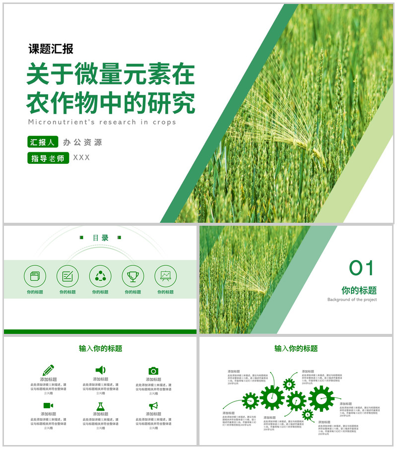关于微量元素在农作物中的研究论文答辩PPT模板