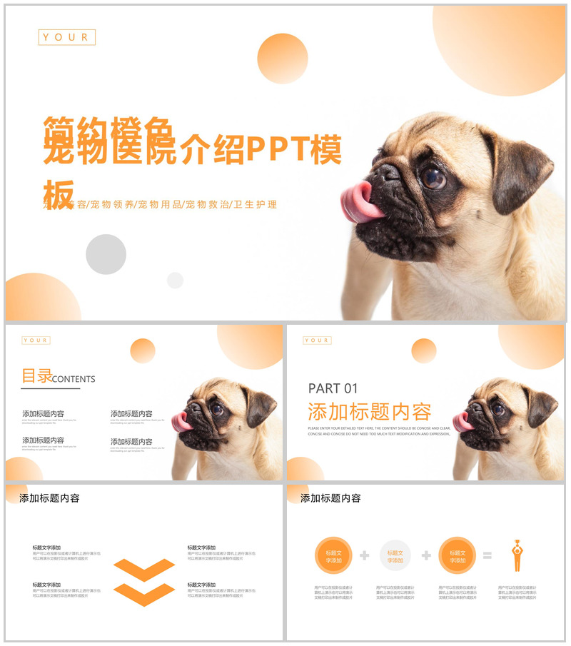 简约橙色宠物医院介绍PPT模板