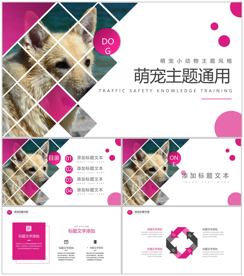 萌宠小动物主题风格PPT模板 (1)