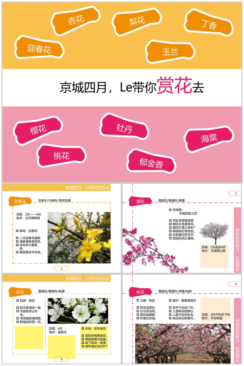 四月繁华开放精美PPT模板