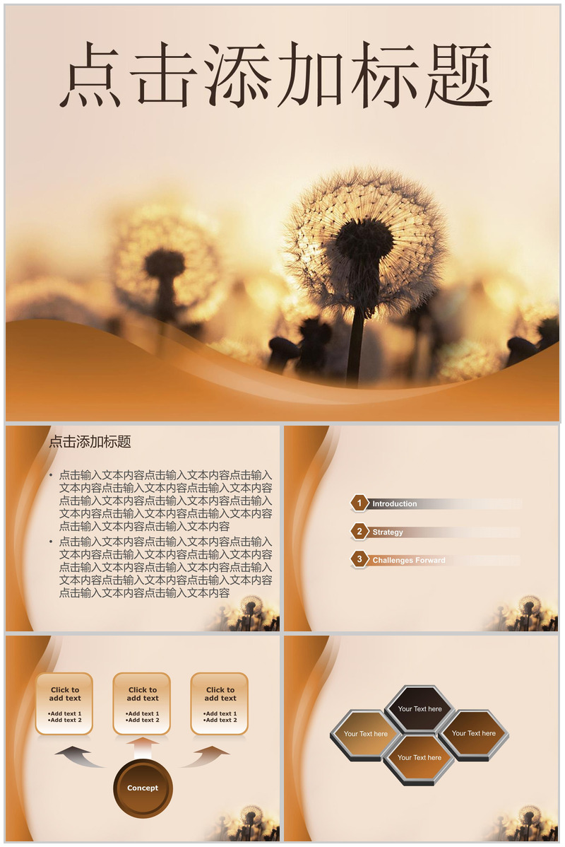 古朴风格蒲公英商务PPT模板