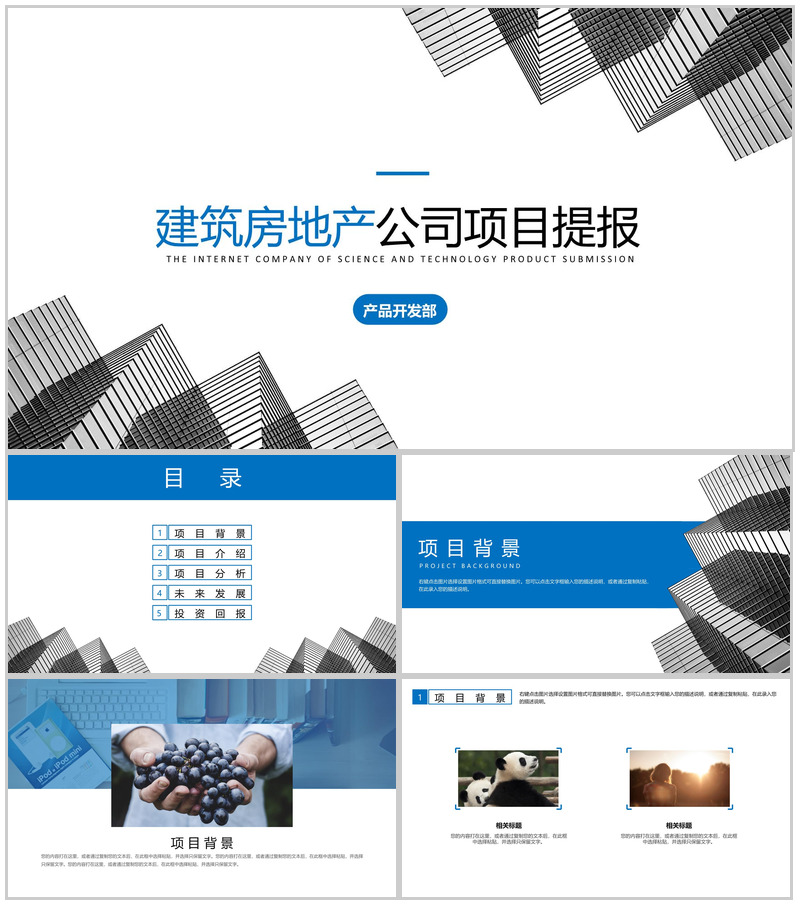 个性房地产公司建筑项目进展进度成果情况汇报总结PPT模板