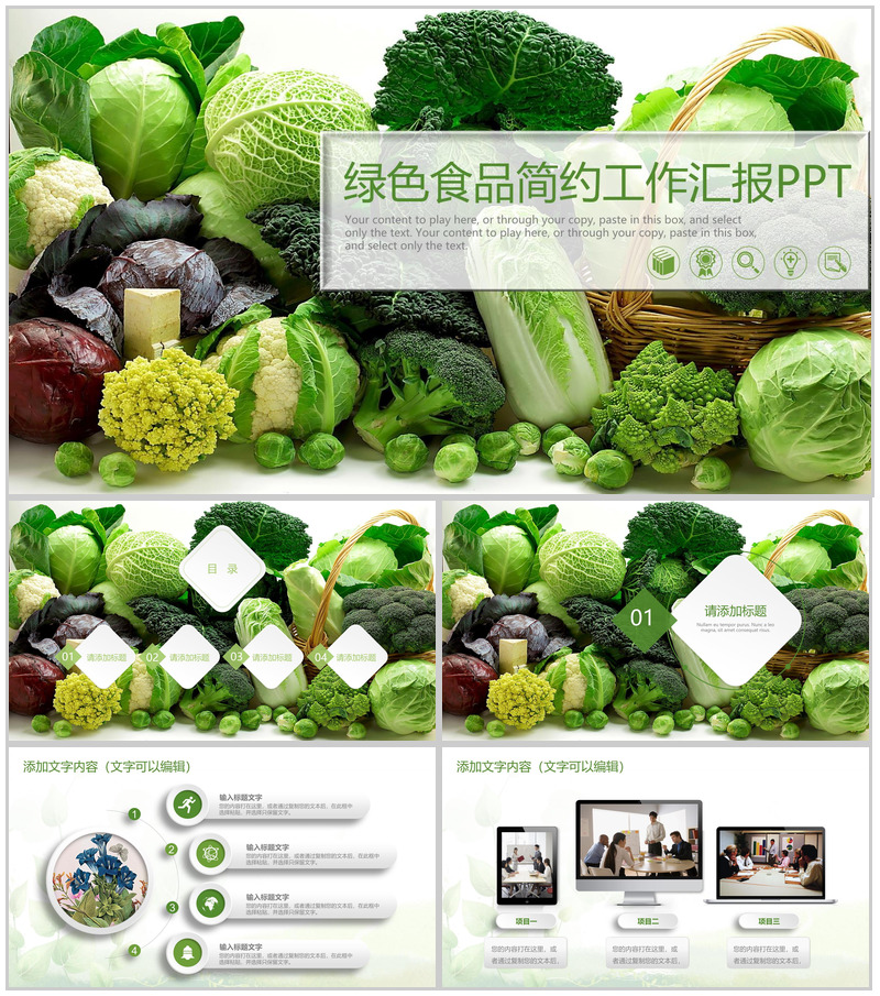 简约绿色食品健康饮食工作汇报PPT模板