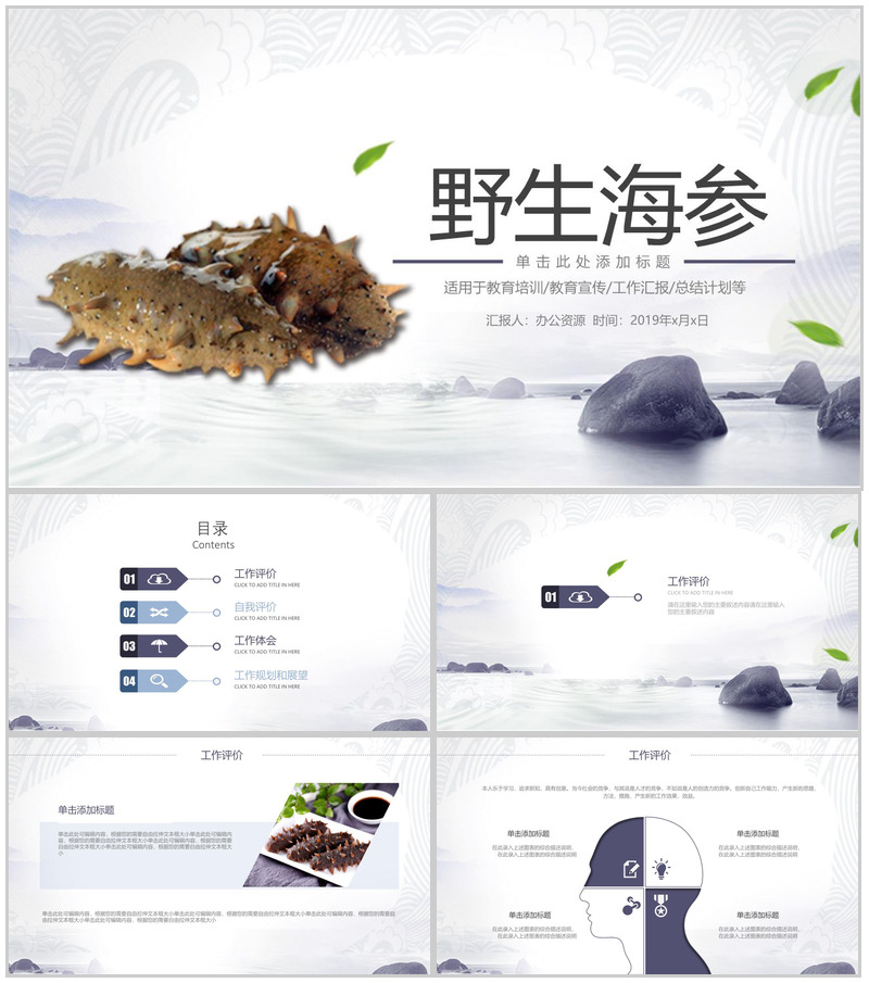 健康野生海参动态产品推广宣传工作汇报PPT模板