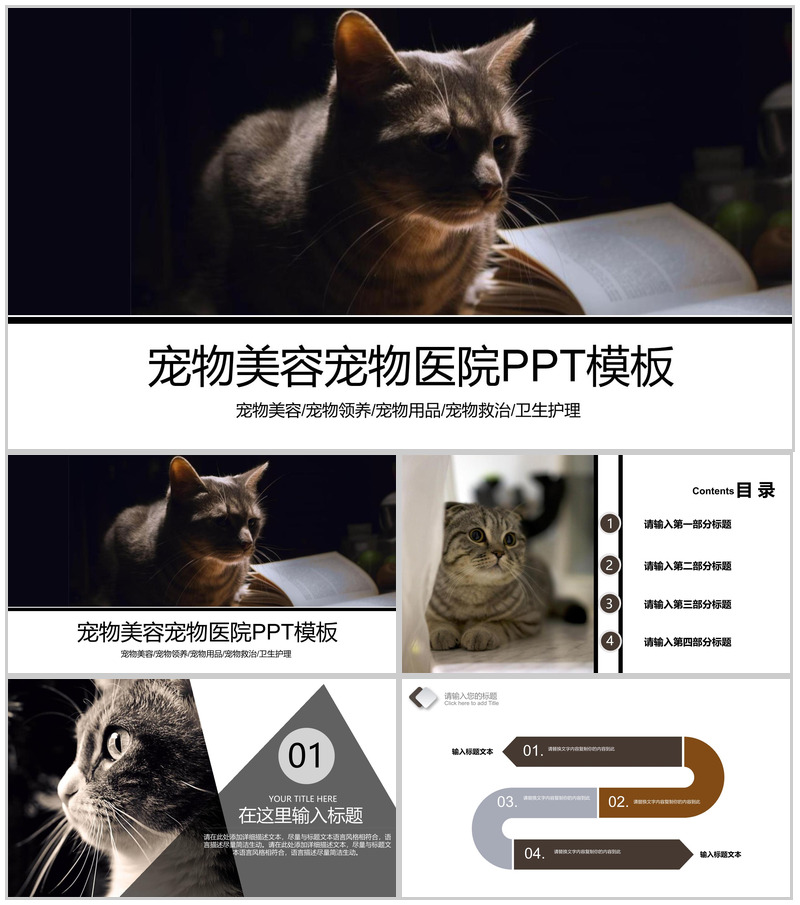 宠物美容宠物领养宠物医院PPT模板