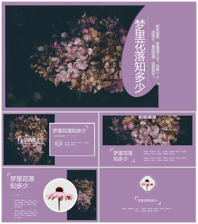 欧美大气杂志风梦里花落知多少PPT模板