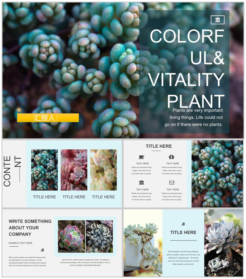 小清新多肉植物工作汇报PPT模板