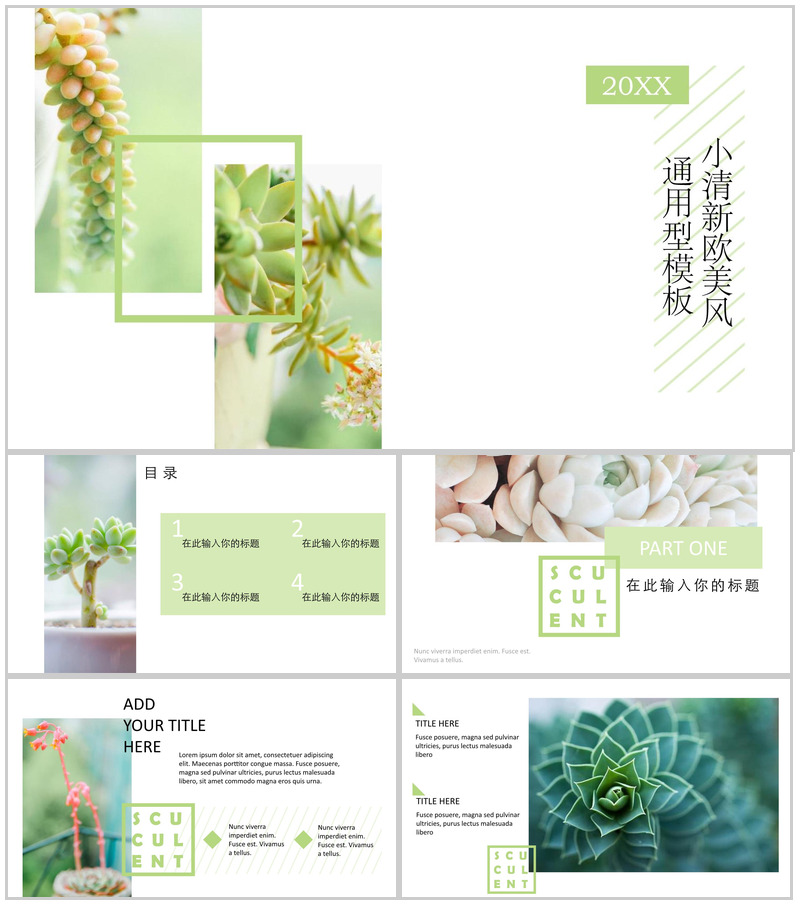 20XX小清新欧美风通用型工作汇报PPT模板