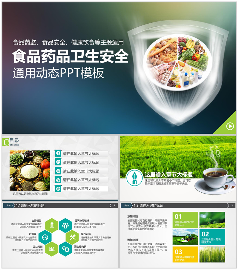 大气食品安全药品卫生健康饮食汇报总结PPT模板